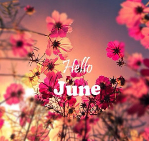 june is here this means summer it s here hello june and hello summer ...