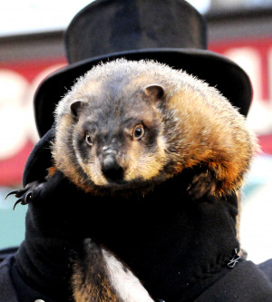 Snapshot Punxsutawney Phil...