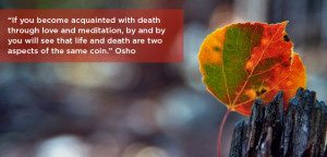VIEW ONLINE VERSION | SUBSCRIBE | SEND TO A FRIEND | VISIT OSHO.COM