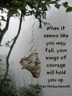 When it seems like you may fall, your wings of courage will hold you ...