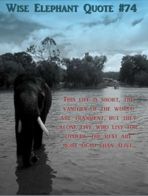 And with that I present you with Wise elephant quotes.