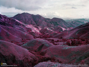 details Request a Quote