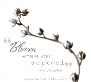 ... inspirational quotes flowers life bloom life mary engelbreit nature