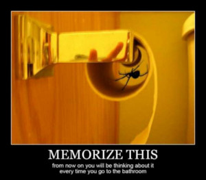 By Admin on February 19, 2013