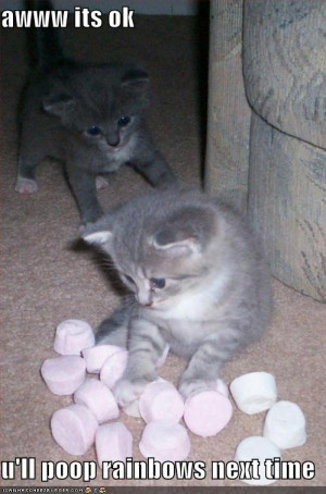 funny-pictures-kittens-marshmallows-poop-rainbows