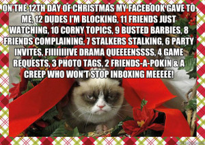... Plaza to Voice Grumpy Cat in Grumpy Cat's Worst Christmas Ever Movie