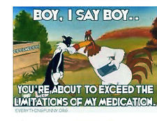 Foghorn Leghorn Quote Cross Stitch Pattern # 564001 NFL