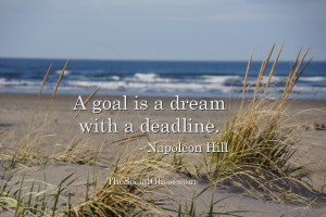 goal is a dream with a deadline – Napoleon Hill