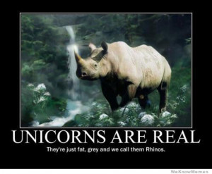 Unicorns are real – they’re just fat, grey and we call them Rhinos ...