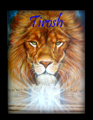 Titled : Lion of Judah