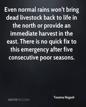 Even normal rains won't bring dead livestock back to life in the north ...