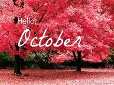Hello October