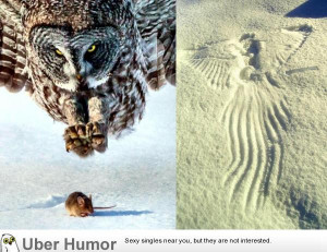 SIGN UP FOR THE NEW UBERHUMOR NEWSLETTER