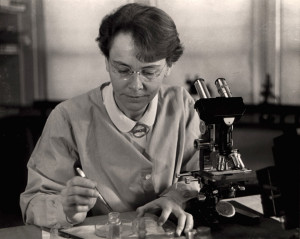 McClintock in her lab in 1947.