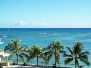 Owners Ocean View Image