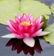 Inner Peace Quotes To Soothe Your Soul