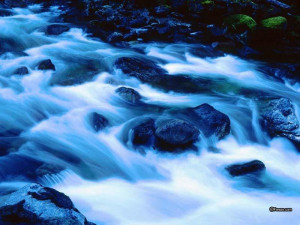 Chance the Rapids...