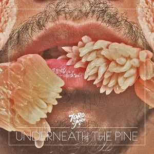05 Toro Y Moi - Underneath the Pine