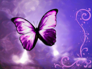 purple-fantasy-butterfly-postcard-hd-wallpaper