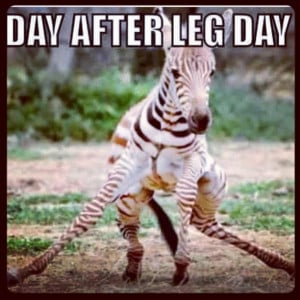 Day After Leg Day - Gym Feelings - Gym Motivation