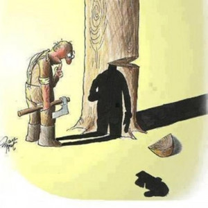 Save Trees Save Your Self !!!This Picture Notice towards That ...
