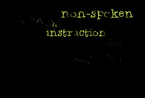 Quotes Picture: let me be the nonspoken instruction people need to ...