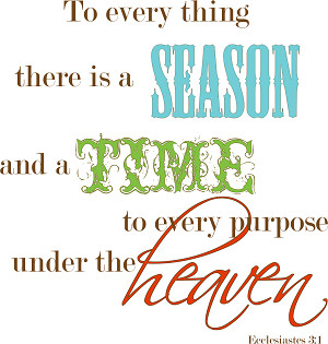 Ecclesiastes 3 Bible Commentary - There Is A Season