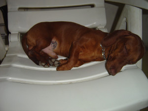 Search Results for: Tattoos On Women Private Parts