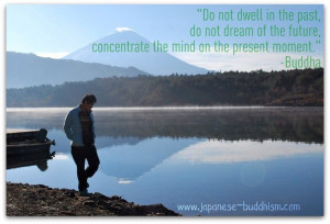 Buddha quotes on this site....