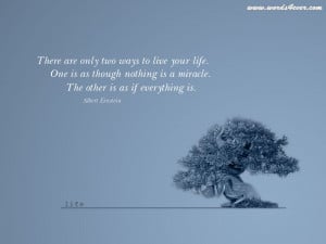 Trees Quotes Wallpaper 800x600 Trees, Quotes, Bonsai, Miracle, Albert ...