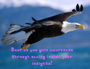 Bald Eagle Quotes http://insideourinsights.blogspot.com/2011/05 ...