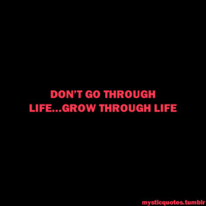 years ago 4 notes View high resolution