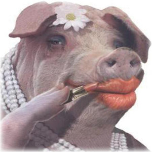 Half TRUTH is still just a Pig with lipstick on.