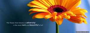 The Flower That Blooms In Adversity Cover