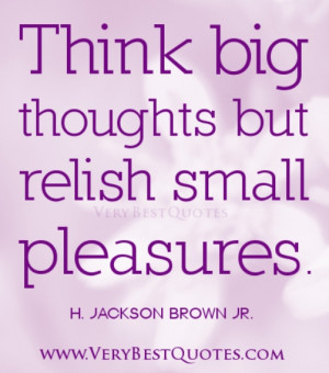 Think big thoughts but relish small pleasures.