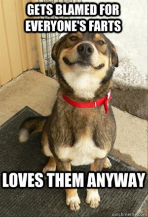 Funny Pictures – 28 Pics