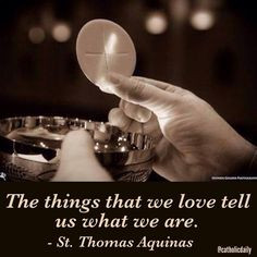 St. Thomas Aquinas More