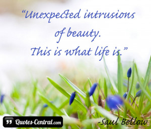 Unexpected Intrusions Of Beauty