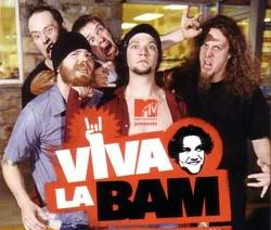 secert life american teenagermake break 10 hate viva la bam
