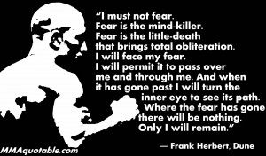 must not fear, fear is the mind killer, fear is the little death