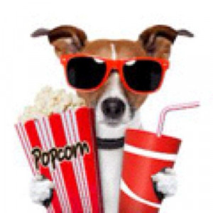 Hmm movie night #saturday #funny #dogs #movies #movie