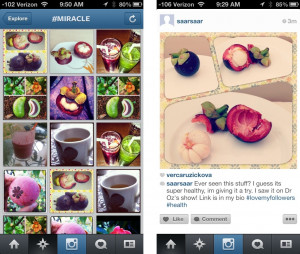ig spam 730x620 Instagram comes under large scale spam attack, prompts ...