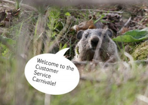 welcome to the groundhog day