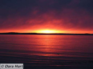 Daybreak-Over-Water-in-Maine.jpg