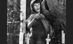 Themes Quotations Works Cited