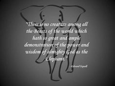 Animal Elephanttr, Quotes 3, Elephants Quotes 1 Jpg 590 443, Elephants ...
