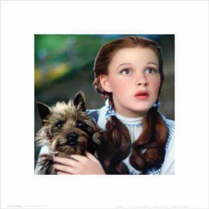 439420_The-Wizard-of-Oz--Dorothy-and-Toto.jpg