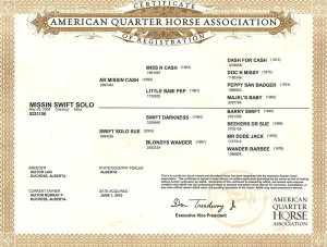 prejudicial rhetorical quotes