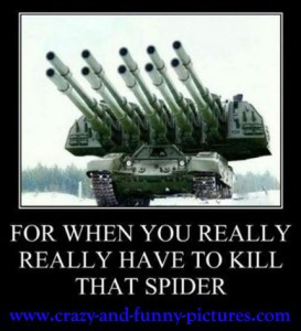 Funny Spider Pictures Quotes