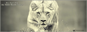 Lioness Quotes Lioness facebook covers